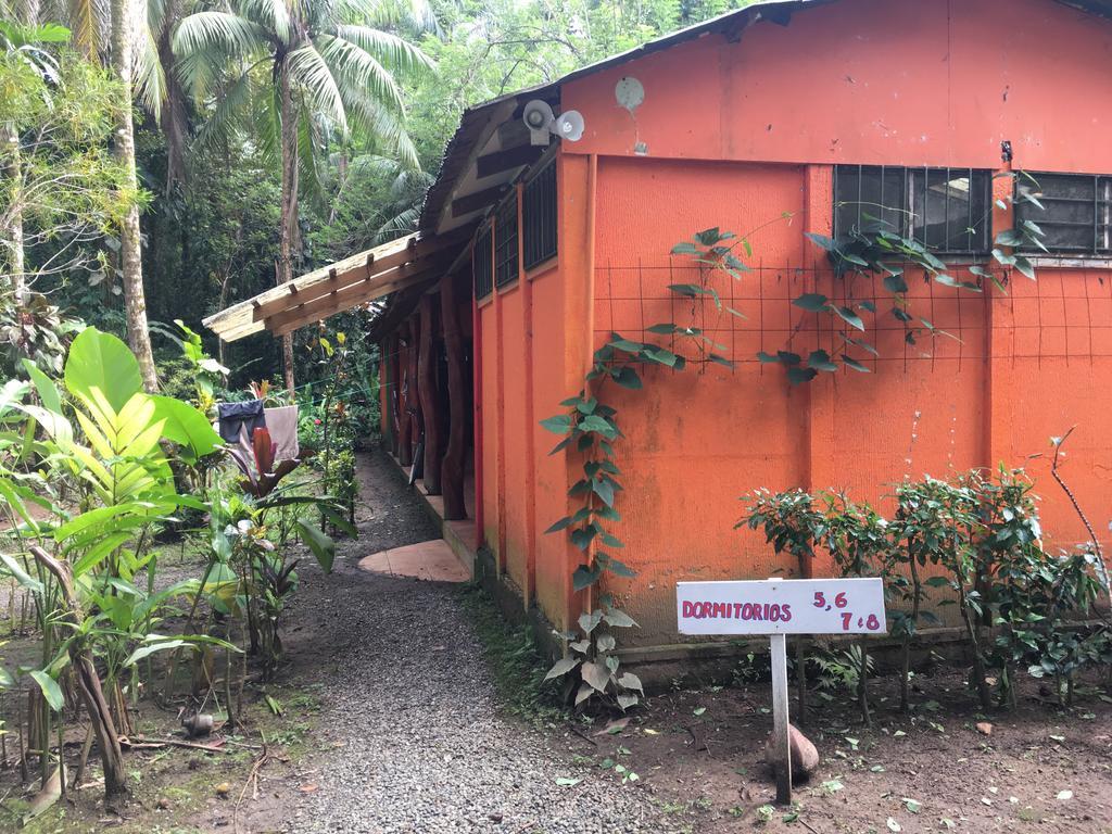 Mi Casa Hostel Y Hotel El Tesoro Puerto Viejo de Talamanca エクステリア 写真